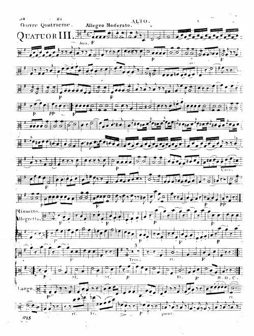 Viola