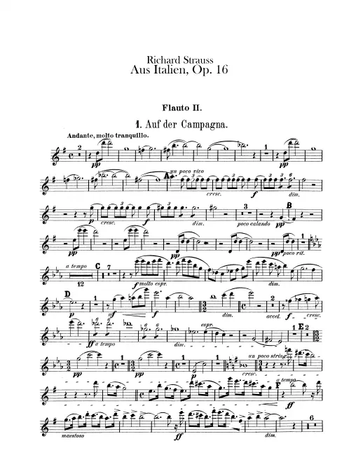 Flute 2