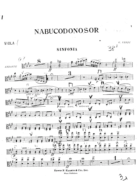 Violas