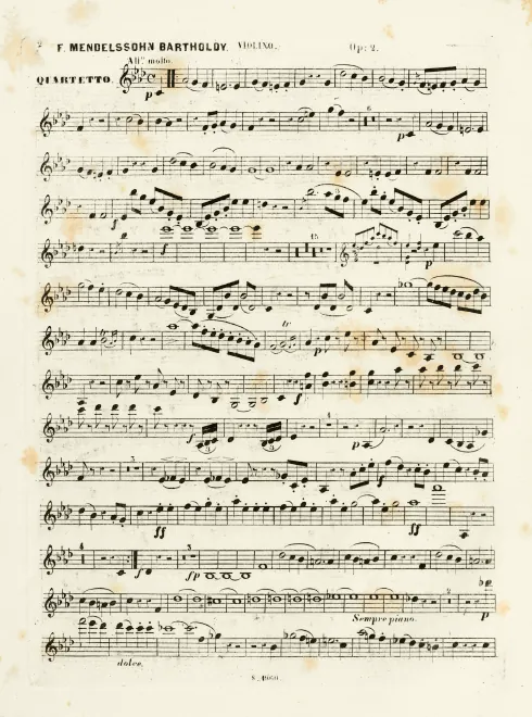 Violin