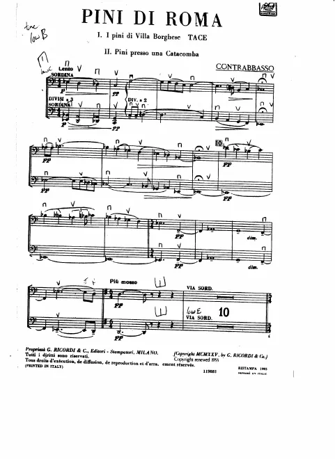 Basses