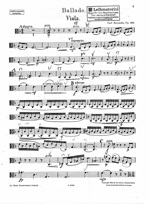 Violas