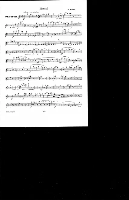 Flute