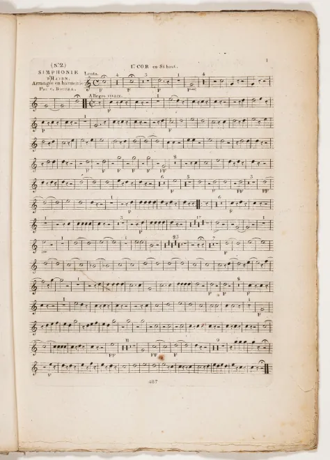 Horn 1 (B/F)