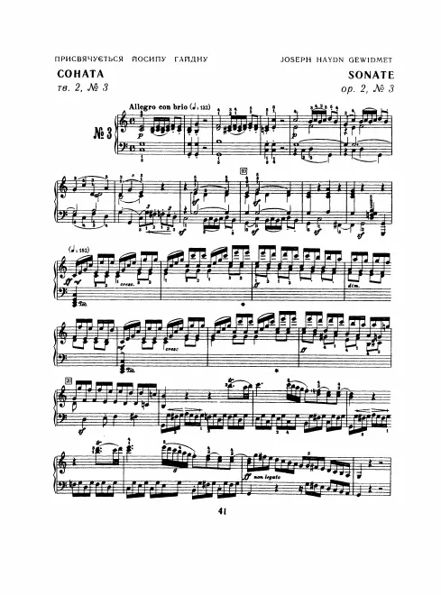 1. Allegro con brio