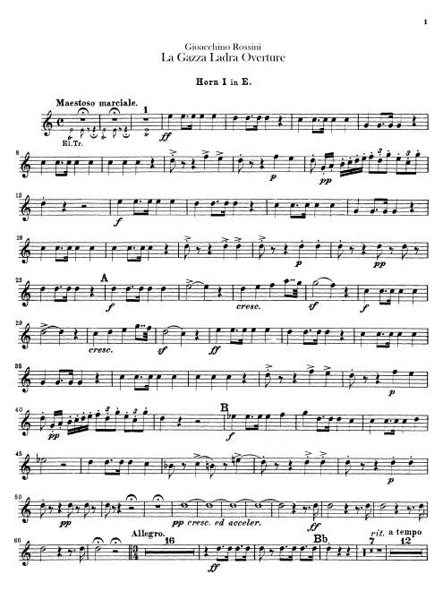 Horn 1, 2 (E), 3, 4 (G)