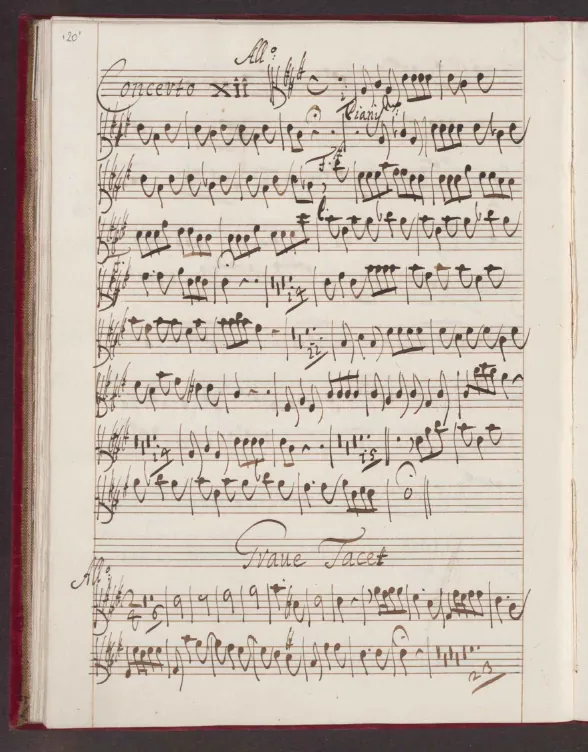 Violas
