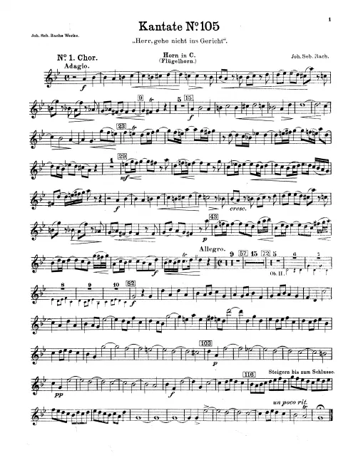 Horn (or Flugelhorn) (C)