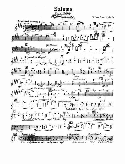 Flute 1
