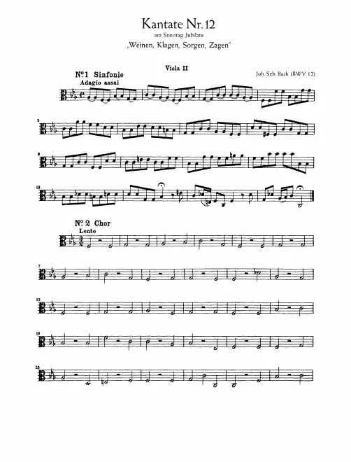 Violas II