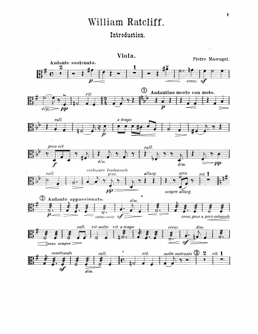 Violas