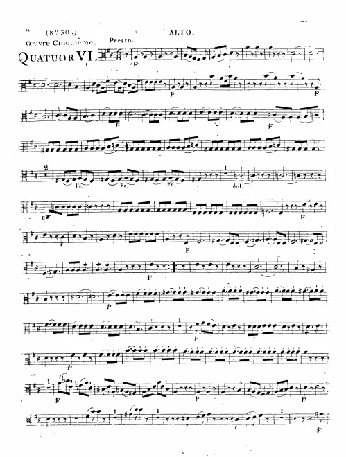 Viola