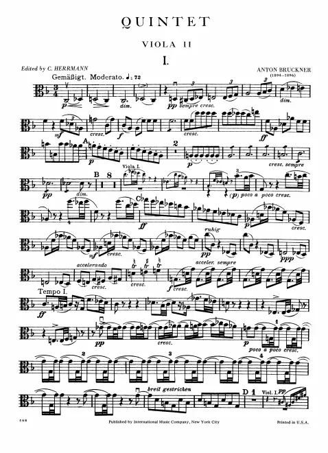 Viola 2