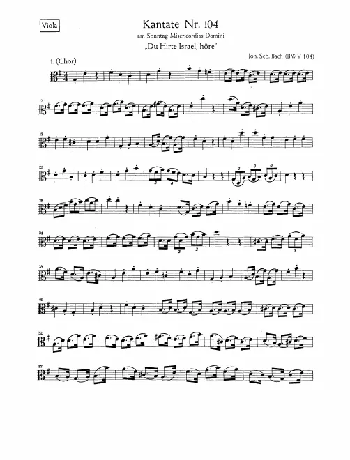 Violas