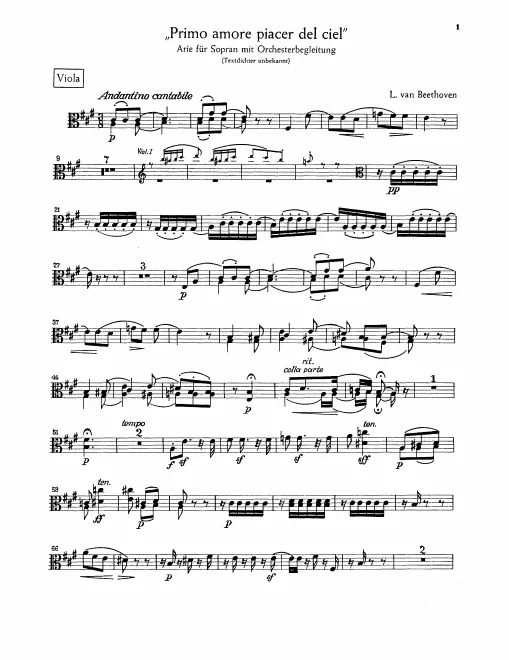 Violas