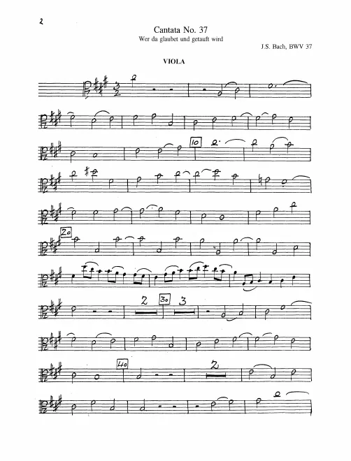 Violas