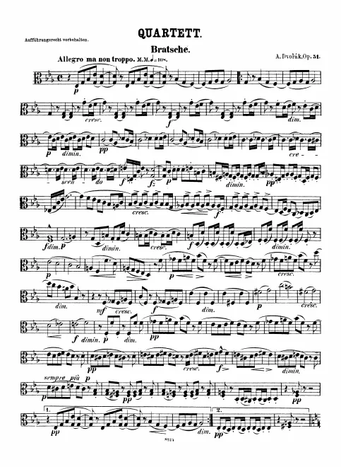 Viola