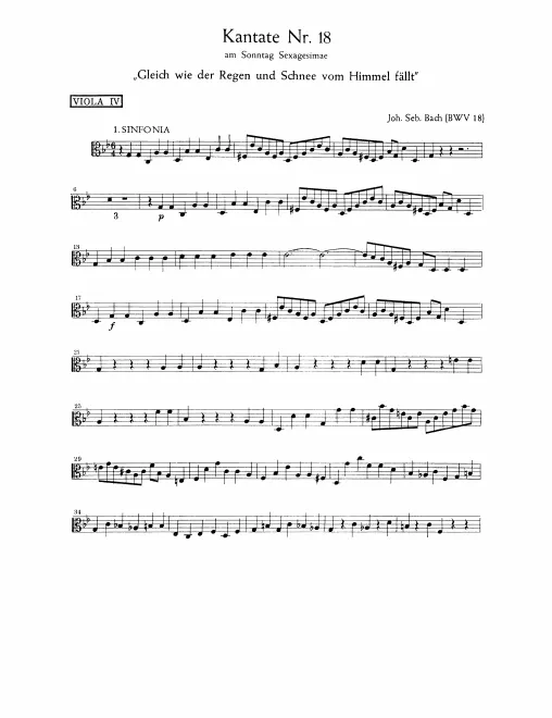 Violas IV