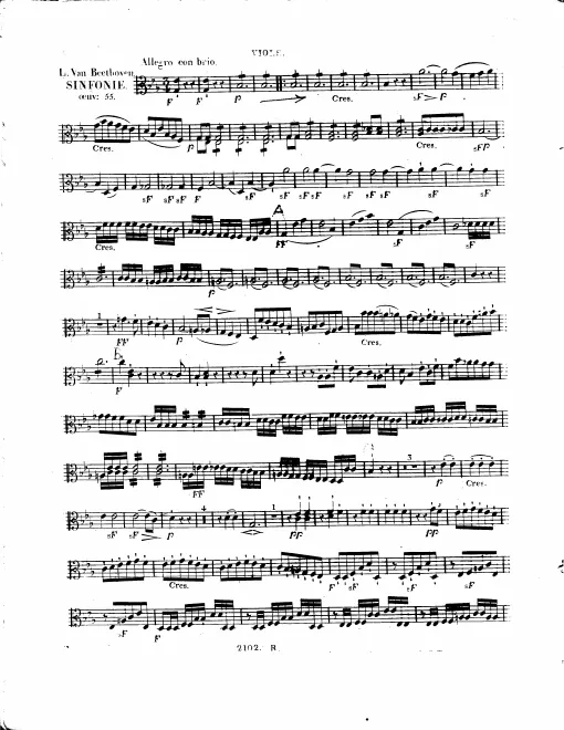 Violas