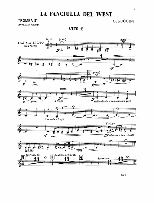 Trumpet 2