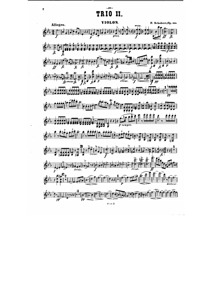 Violin