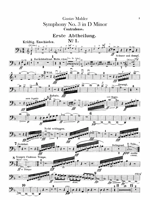 Basses