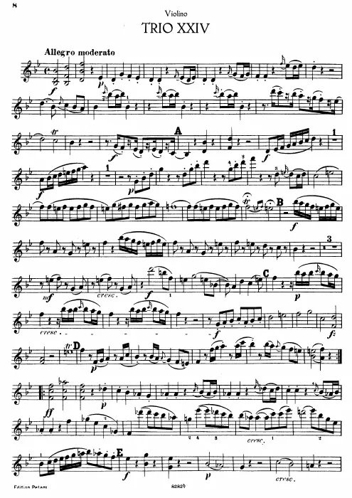 Violin