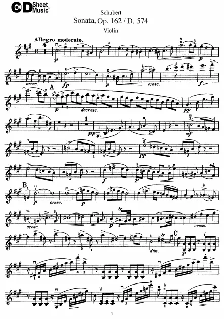 Violin