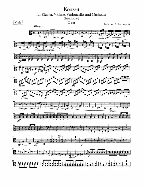 Violas