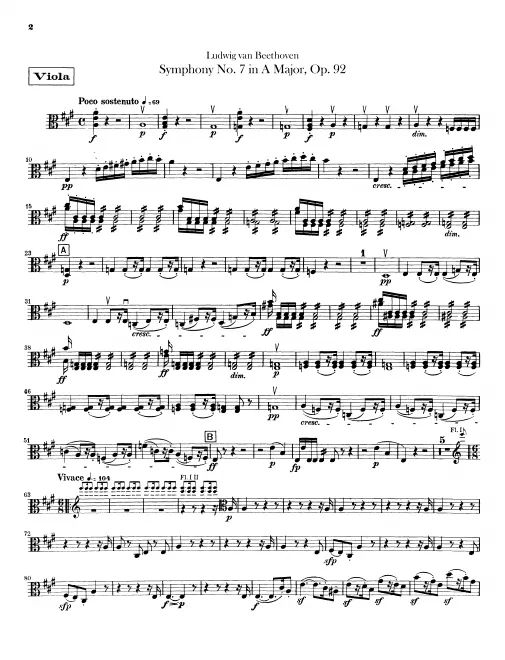 Violas