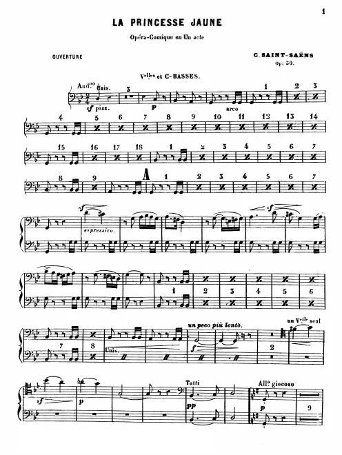 Cellos/Basses