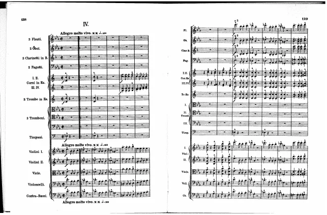 4. Allegro molto vivo