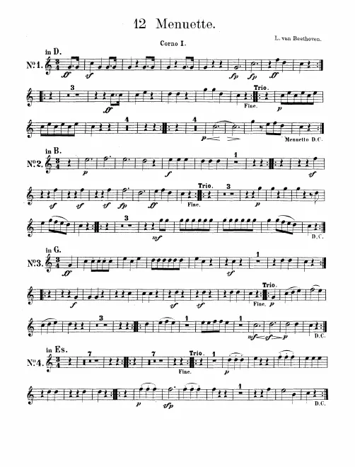 Horn 1, 2 (D/B/G/E/C/A/F)