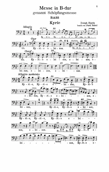 Basses
