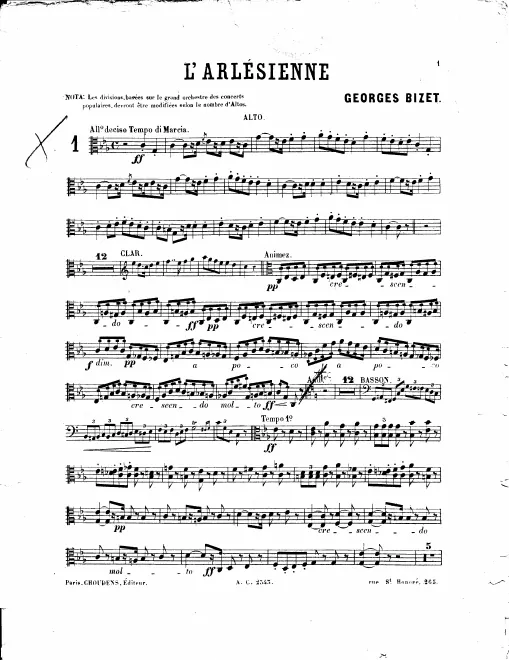 Violas