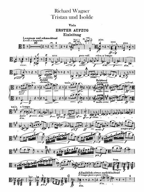 Violas