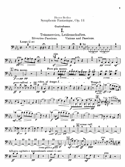 Basses