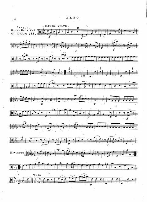 Viola