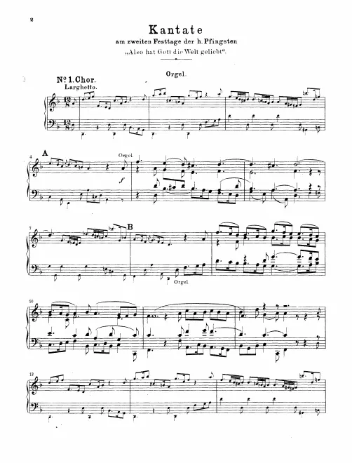 Organ