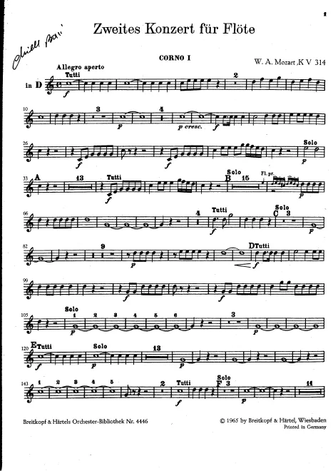 Horn 1