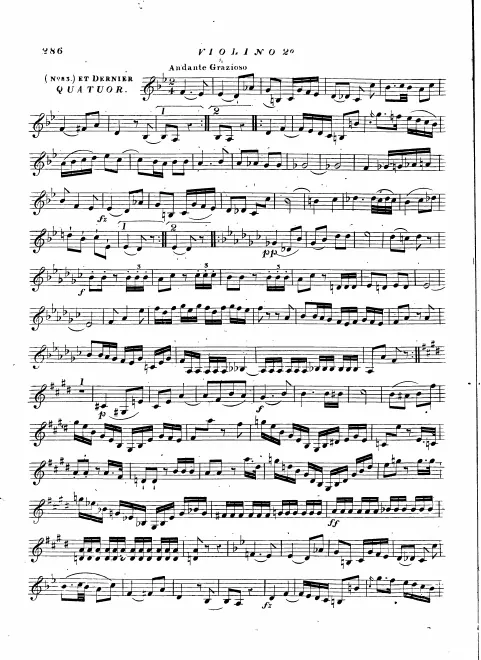 Violin 2