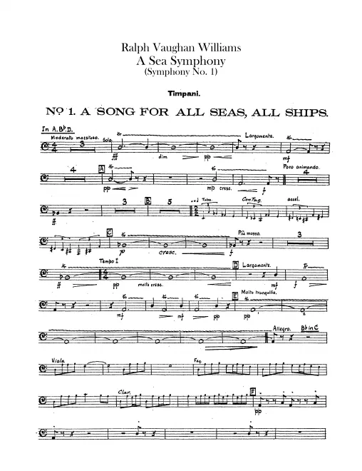 Timpani