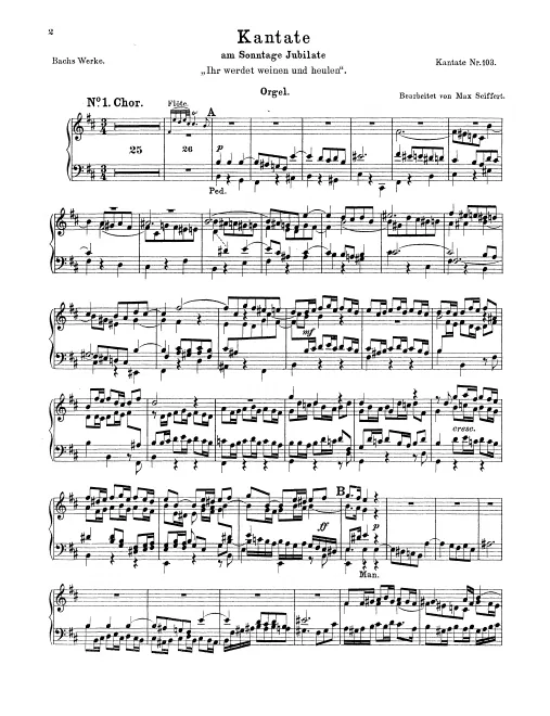 Organ