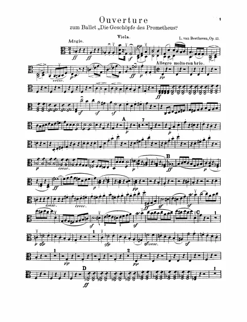 Violas