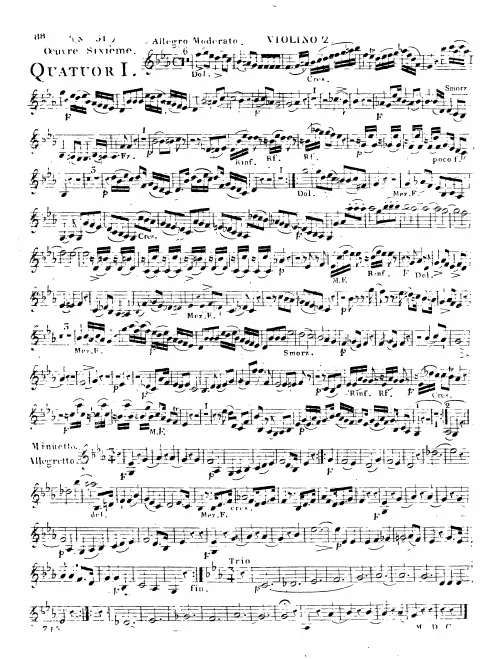 Violin 2