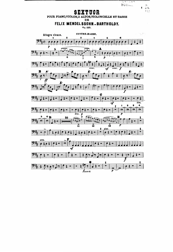 Double Bass