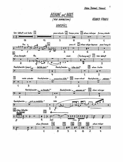 Snare Drum/Triangle