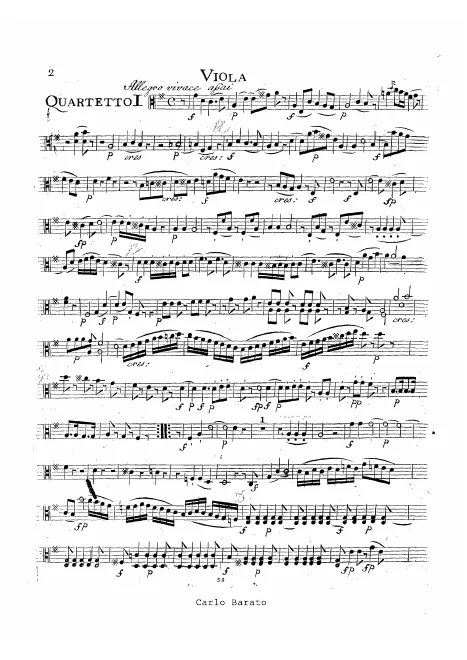 Viola