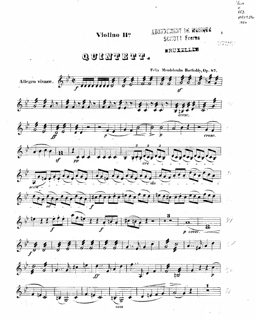 Violin 2