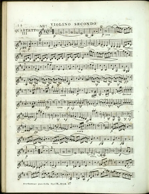 Violin 2